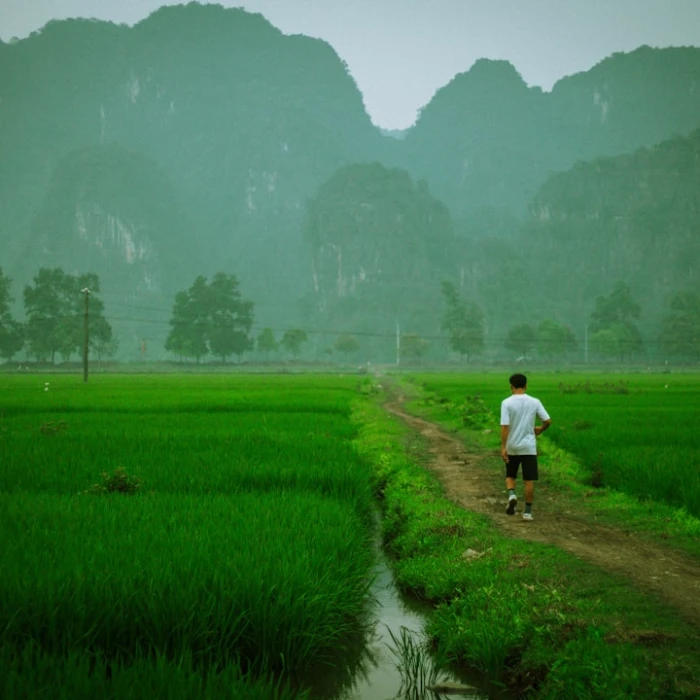 How to Travel Vietnam by Train: A Complete Guide to Public Transport