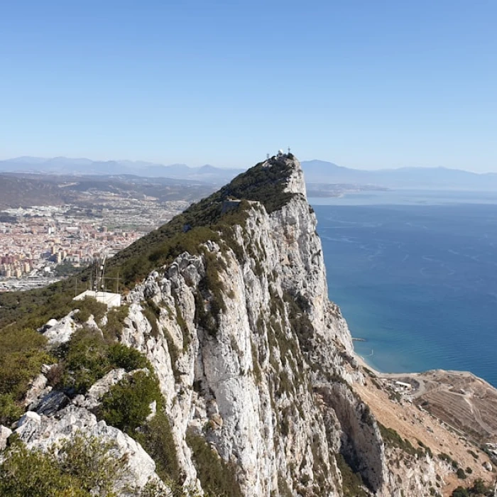 Discover Gibraltar's Marine Wonders: Your Ultimate Guide to Unforgettable Whale & Dolphin Watching