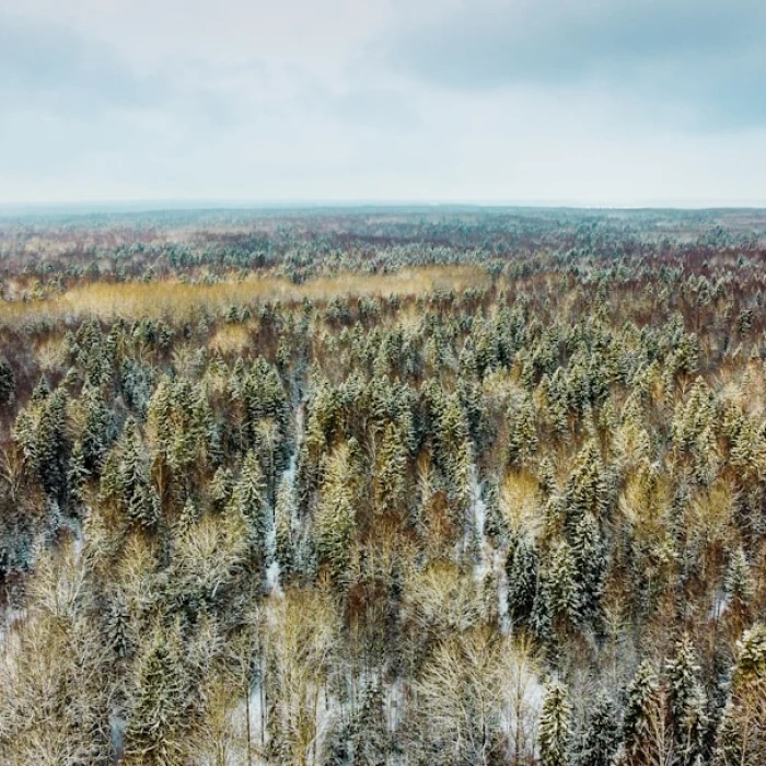 How to Volunteer Ethically While Traveling in Russian Federation