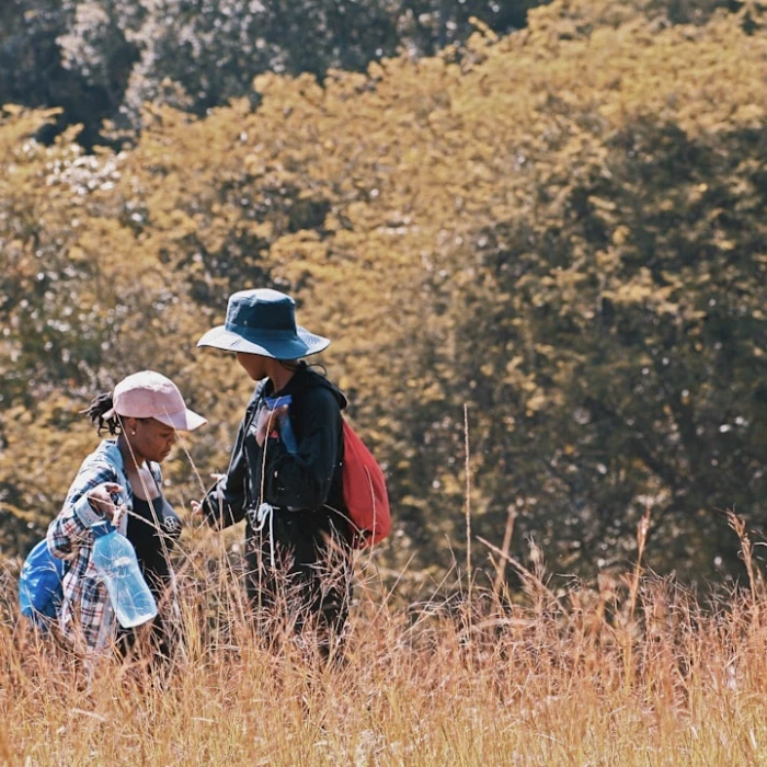 Discover Authentic Eswatini Handicrafts: Your Ultimate Guide to Local Treasures