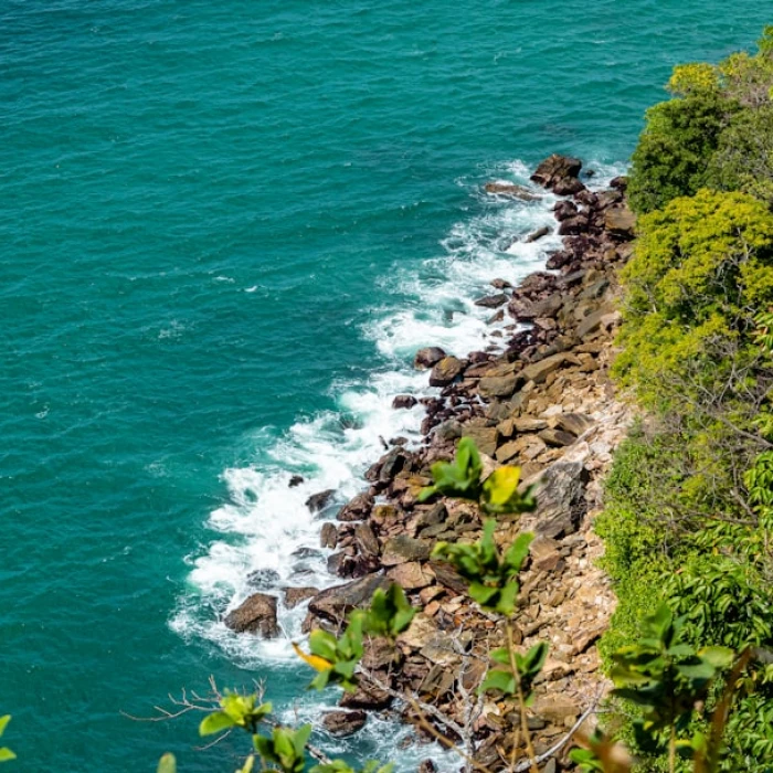 Beyond the Beach: Discover the Most Scenic Caribbean Hiking Trails for Adventure