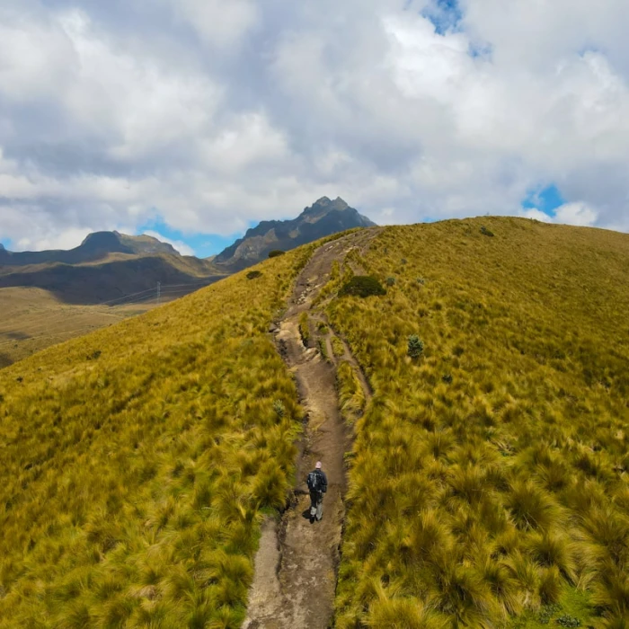 Discover Authentic Ecuadorian Crafts: Your Ultimate Guide to Where to Buy