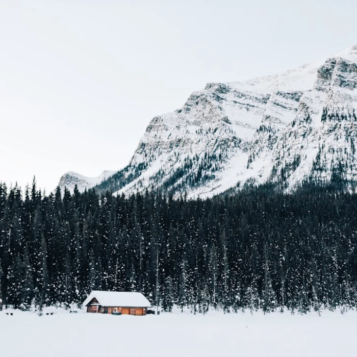 Exploring the Best Local Antique Markets in Canada