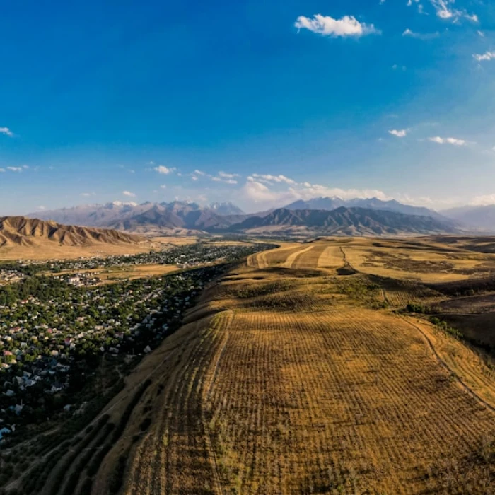 Discover Kyrgyzstan's Local Flavors: Your Ultimate Supermarket Shopping Guide