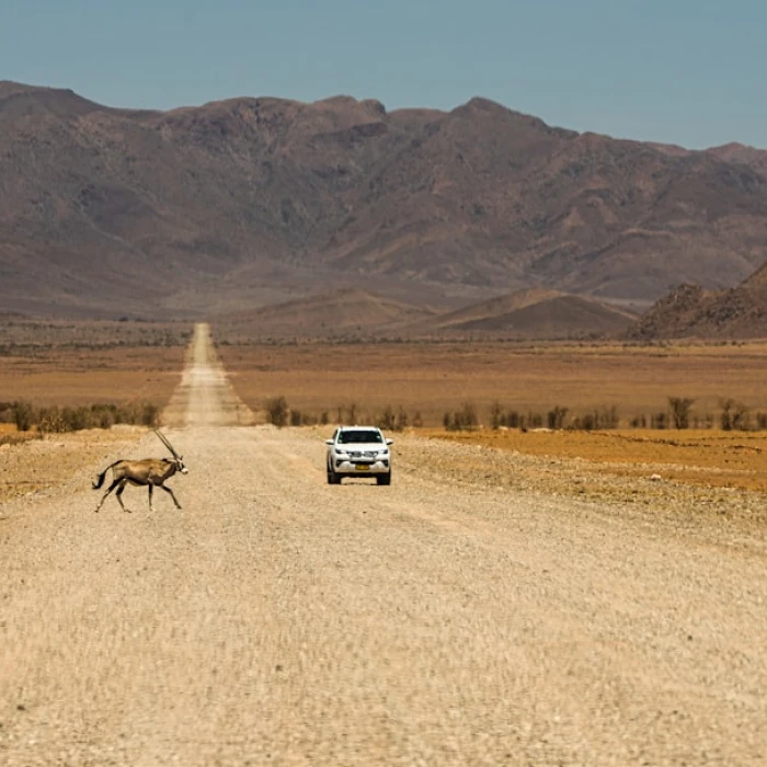Discover Namibia's Soul: Exploring the Top Local Flea Markets for Unique Finds