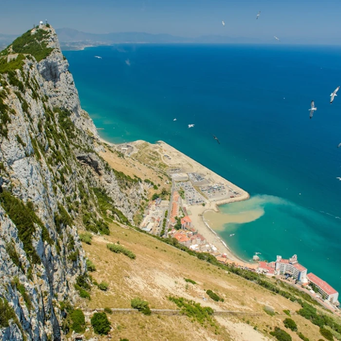 The Best Places for Wildlife Spotting in Gibraltar