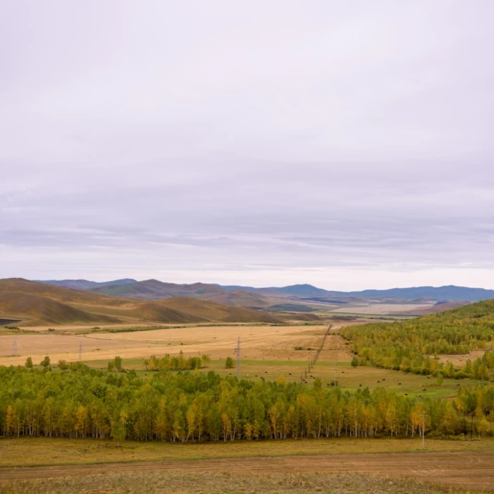Navigating the Language Barrier in Mongolia with Ease