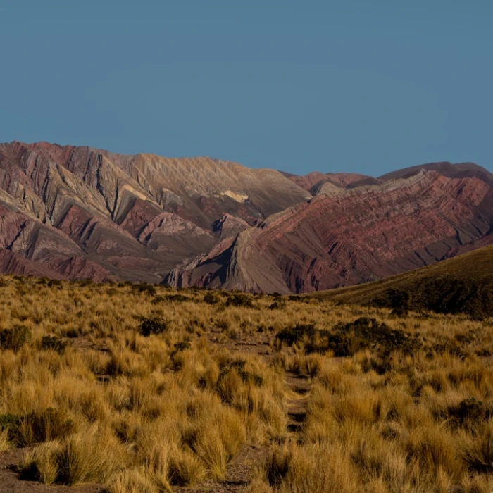 Unforgettable Journeys: Discovering Argentina's Most Scenic Train Rides
