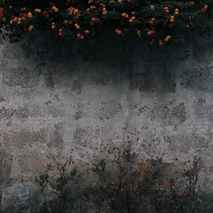 How to Find the Best Accommodation Deals in Georgia