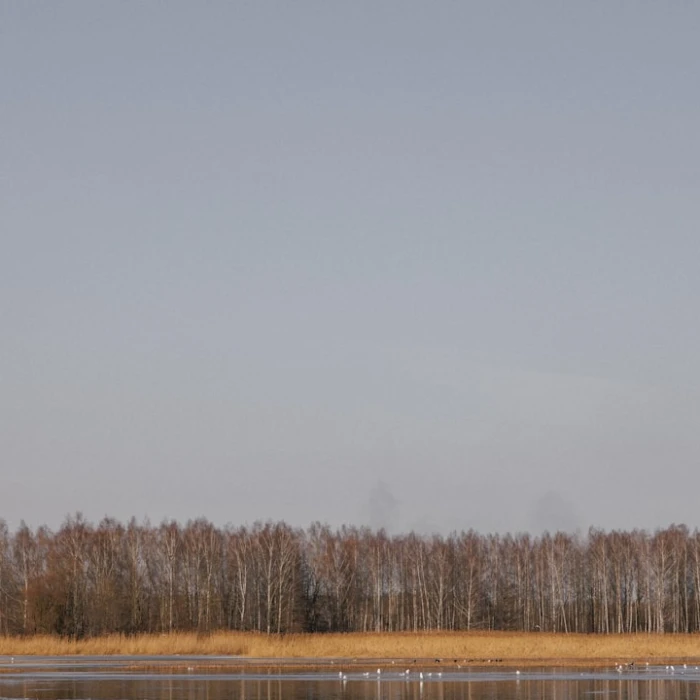 Discover Latvia's Soul: The Best Places to Experience Traditional Festivals