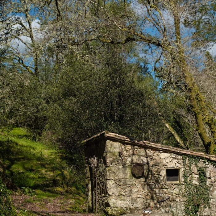 A History Lover’s Guide to the Ancient Sites of Spain