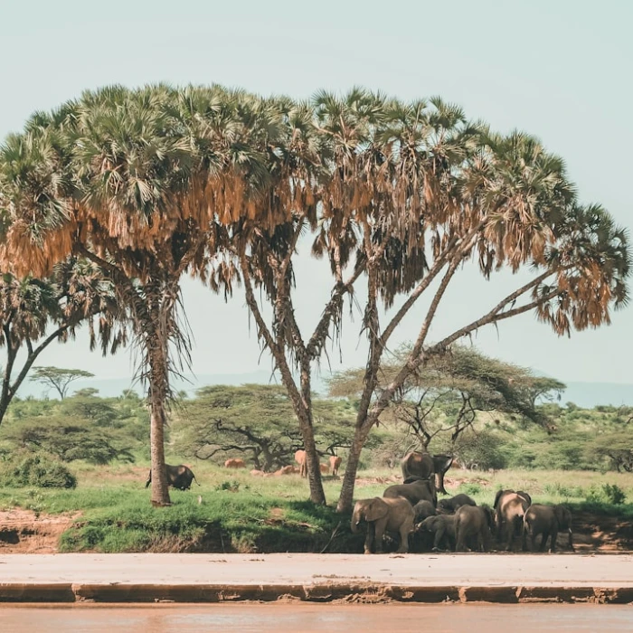 Top 7 Hidden Gems in Kenya You Won't Find in Guidebooks