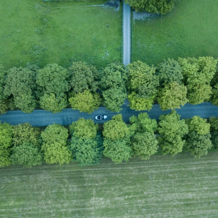 The Ultimate Germany Road Trip: Your Essential Guide to Driving Abroad