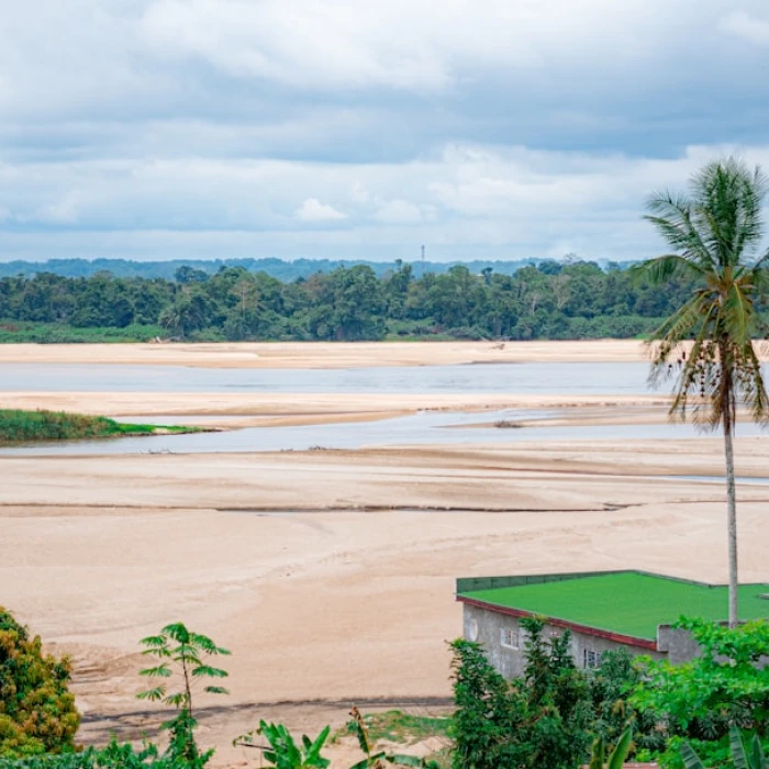Discover Gabon's Hidden Gems: A Guide to the Best Local Cheese Shops