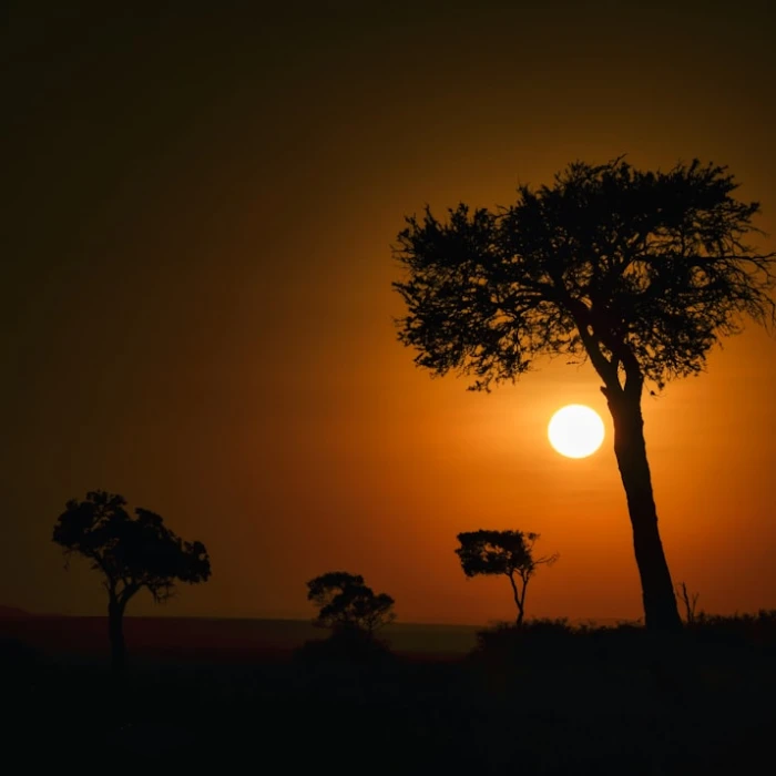 Authentic Kenya Travel: Go Beyond Tourist Trails for a Local Experience