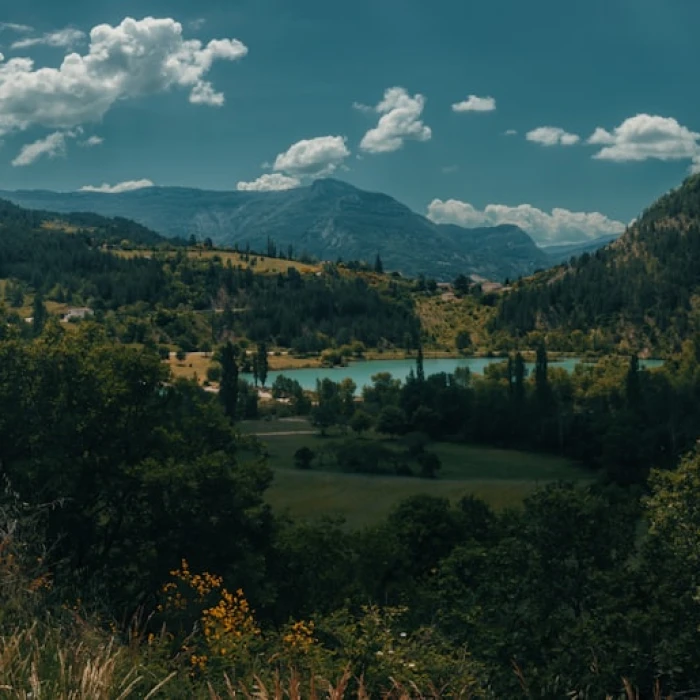 Indulge Your Senses: Discovering France's Best Local Chocolate Shops