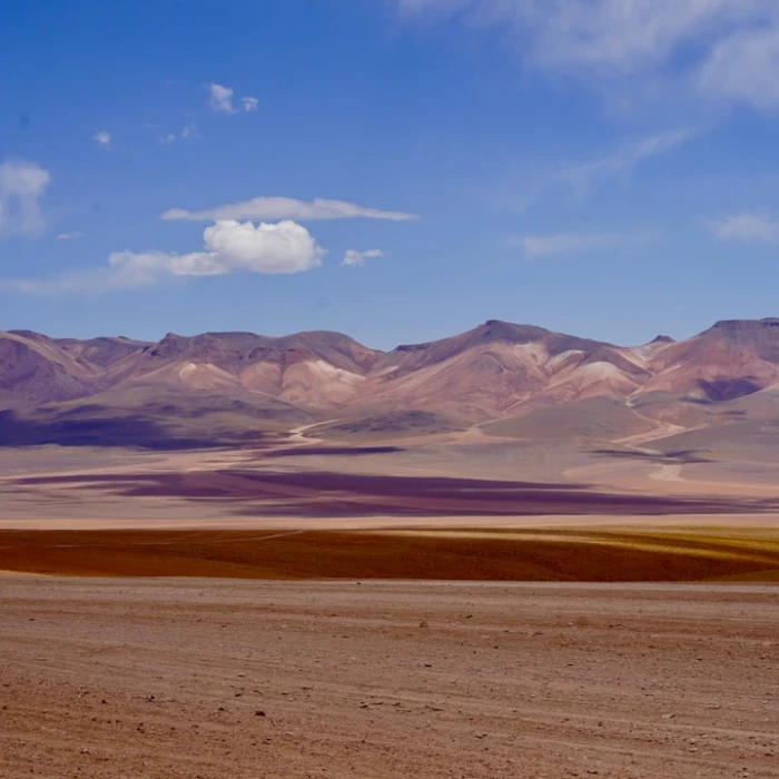 Explore Bolivia's Wild Heart: Unforgettable Wildlife Spotting Destinations