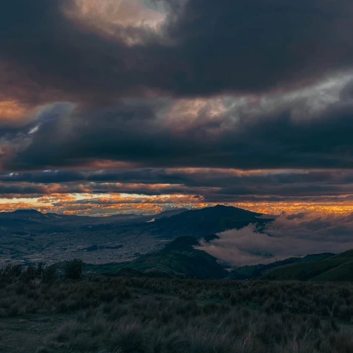 Find the Best Local Souvenirs in Ecuador: Your Guide to Authentic Treasures