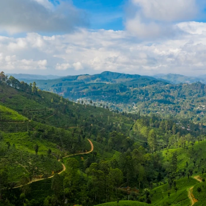 The Best Beaches in Sri Lanka for Sun, Surf, and Sand