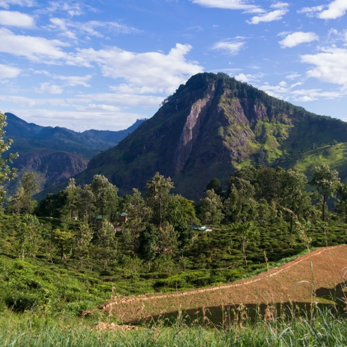 Explore Sri Lanka: Your Guide to Public Bicycles & Scooter Rentals