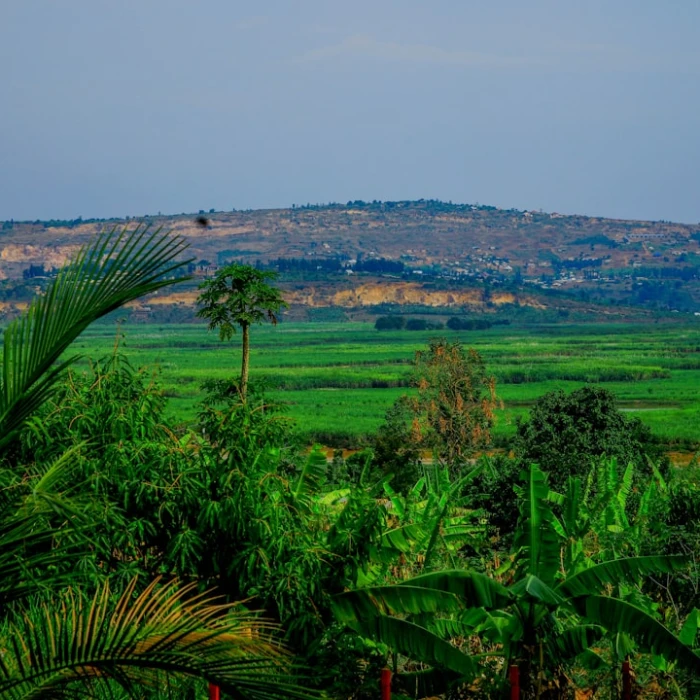 Discover Rwanda's Top Kayaking & Canoeing Spots: An Unforgettable Adventure