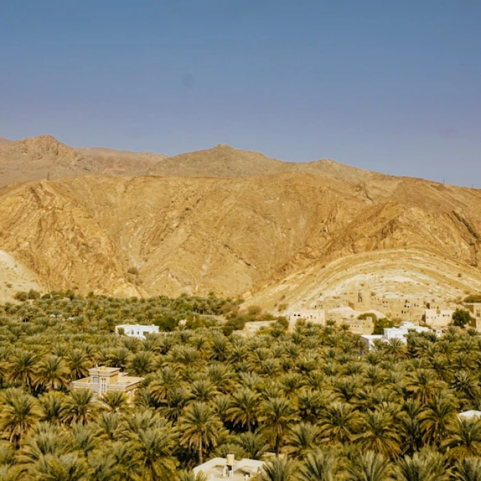 Discover Oman's Azure Wonders: The Ultimate Guide to Scenic Boat Trips