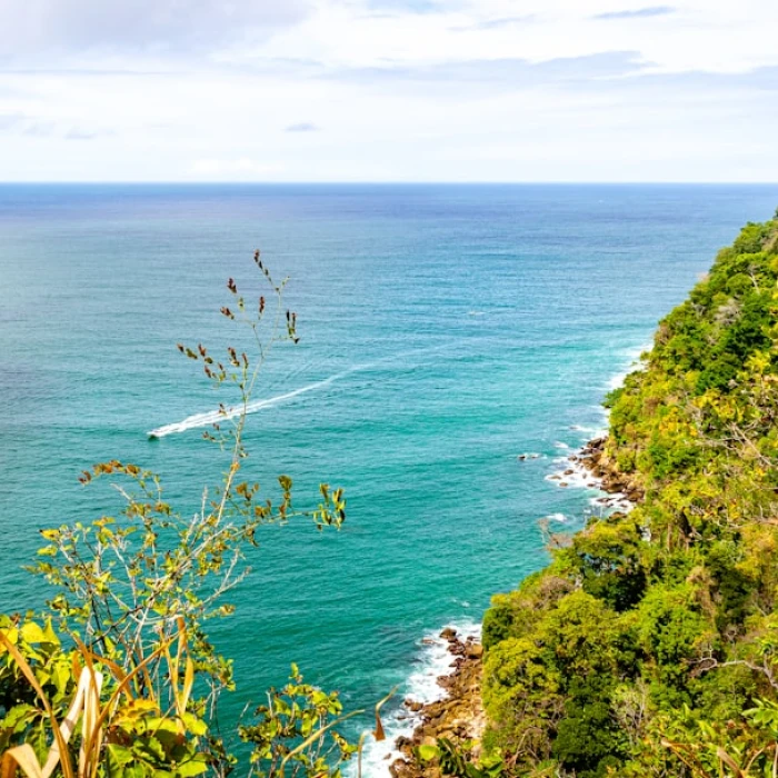 Discover the Sweetest Secrets: Unearthing the Best Local Bakeries in the Caribbean