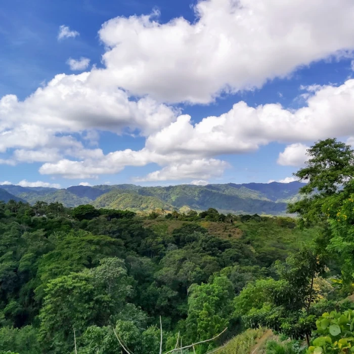 Discover Nicaragua's Best Local Fish Markets: A Guide to Fresh Seafood