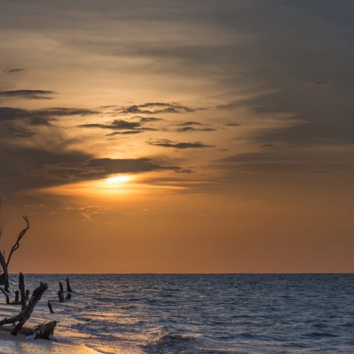 Discover Suriname's Most Scenic Train Journeys: An Unforgettable Adventure