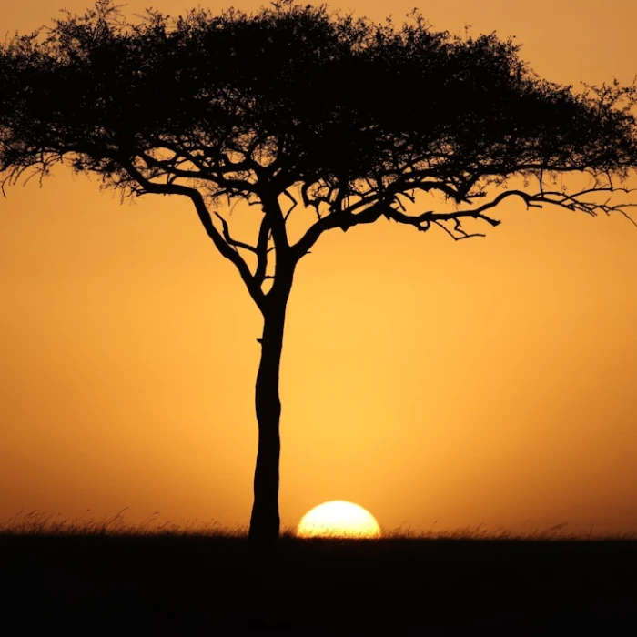 Visiting Kenya on a Shoestring: A Backpacker’s Handbook