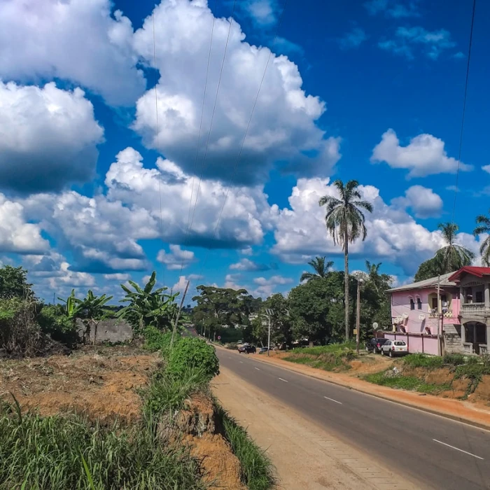 Soar Above Africa: Top Paragliding & Skydiving Spots in Cameroon