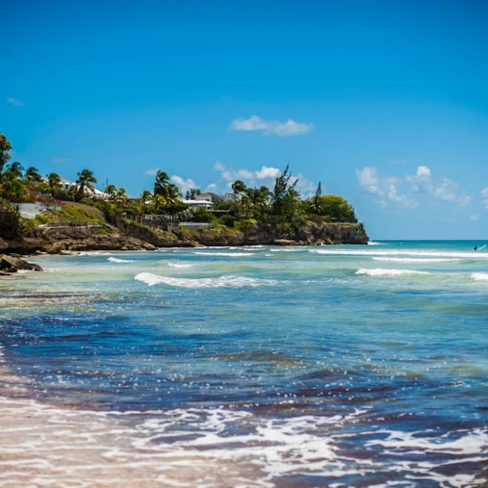 Study in Paradise: Discover Barbados' Top Universities & Premier Schools
