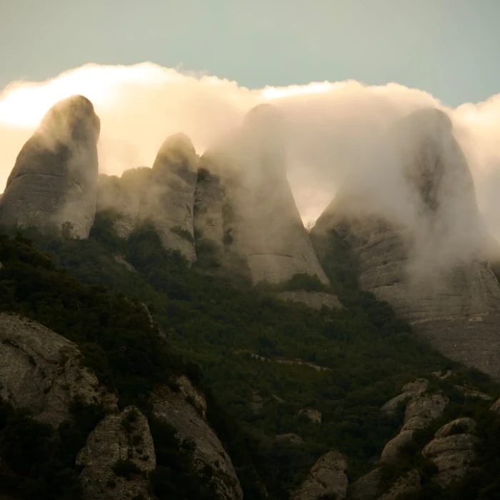 Unveiling the Soul of Spain: A Journey Through Traditional Music and Dance