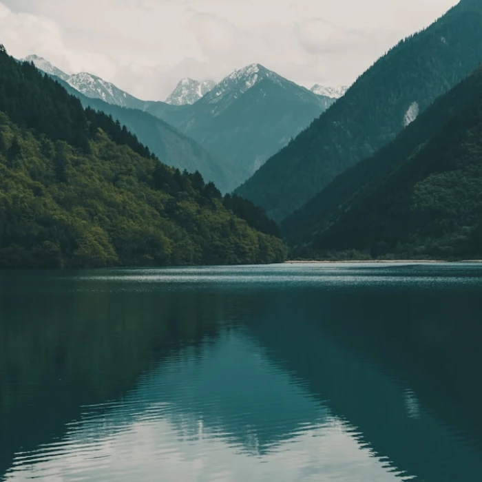 Discover Serenity: The Best Lakeside Retreats for a Quiet Escape in Reunion