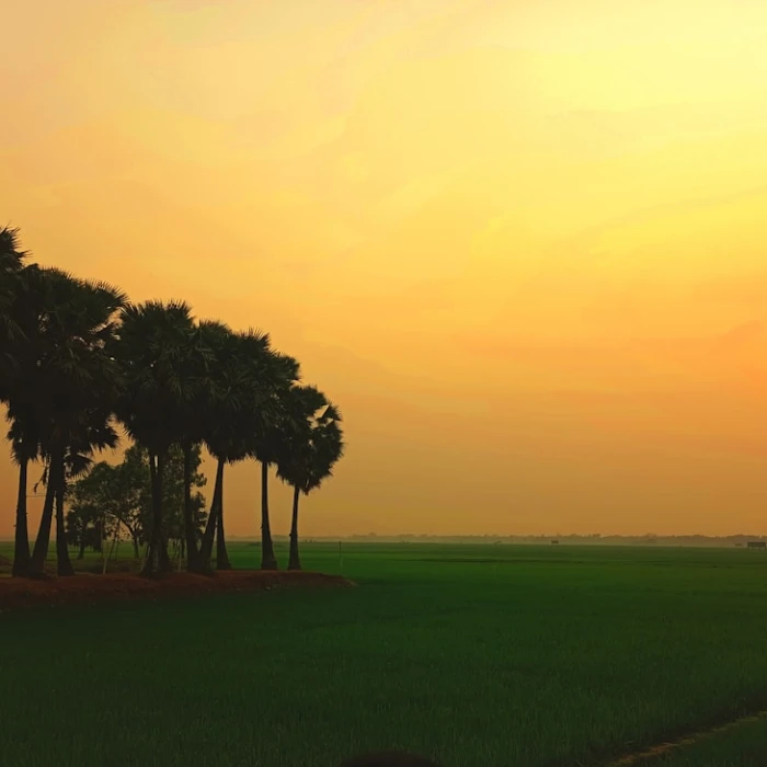 Discover Bangladesh's Breathtaking Cable Car Rides: A Sky-High Scenic Adventure