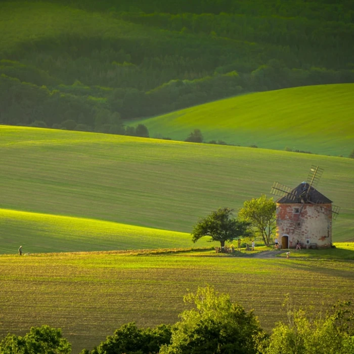 Unveiling the Rhythmic Soul: A Deep Dive into Traditional Czech Music & Dance