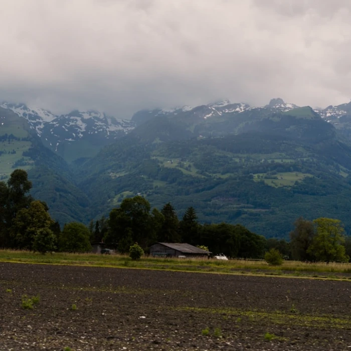 Visiting Liechtenstein During a Major Holiday: What to Expect for an Unforgettable Trip