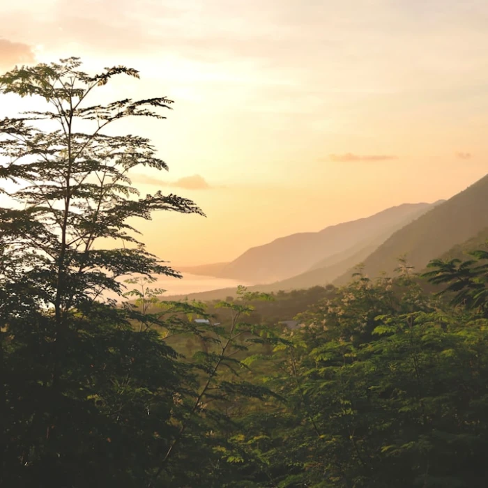 Haiti's Secret Nightlife: Discover the Best Underground Bars