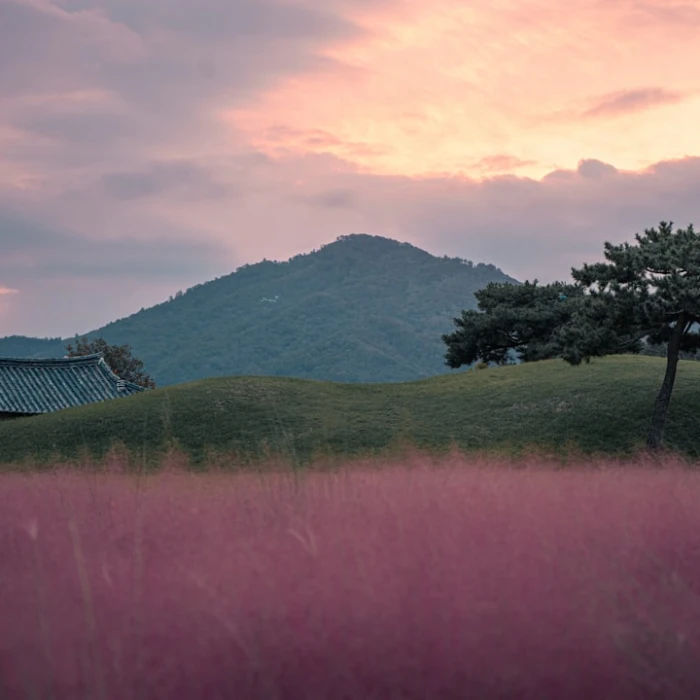 Conquer the Korean Summer Heat: Your Essential Guide to Visiting Republic of Korea