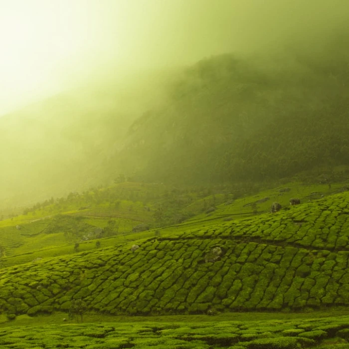 Discover India's Most Instagrammable Places: Your Ultimate Photo Guide