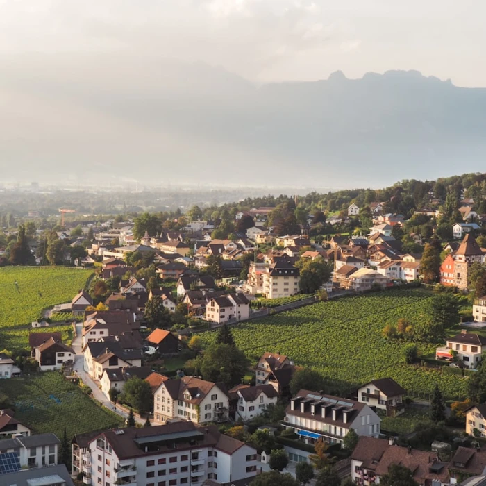 A Culinary Journey: Must-Try Traditional Dishes in Liechtenstein