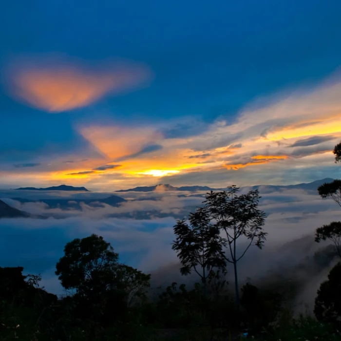 Explore Ecuador's Iconic Avenues: Your Ultimate City Guide