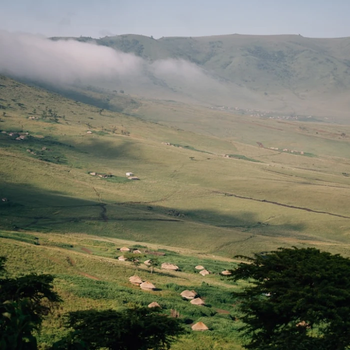 Escape the Cold: Why Tanzania is Your Ultimate Winter Destination