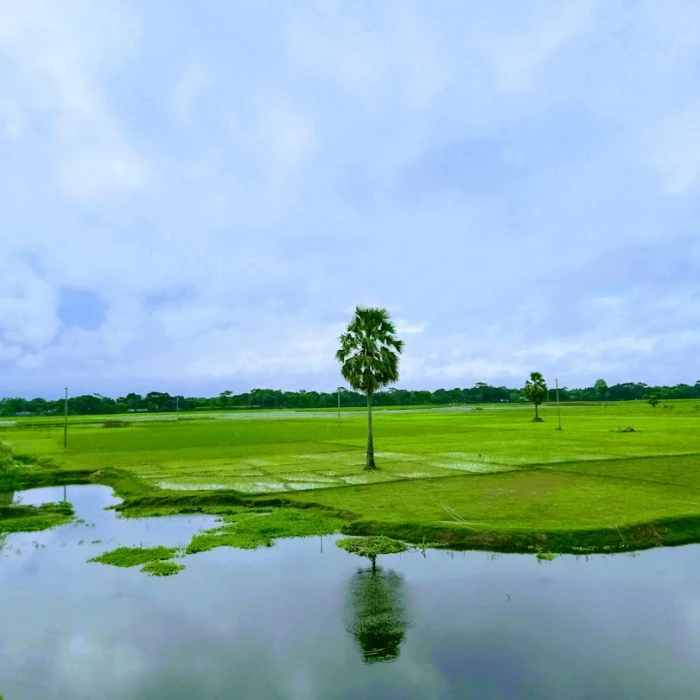 Explore Bangladesh's Hidden Gems: Top Riverside Walks and Scenic Cruises