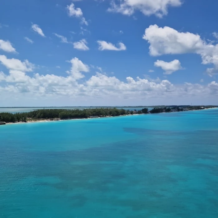 Discover Authentic Bahamian Crafts: Your Ultimate Guide to Local Treasures & Where to Buy Them