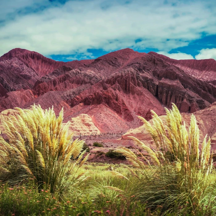 Your Ultimate Guide to Getting Around Argentina: Flights, Buses & Ferries