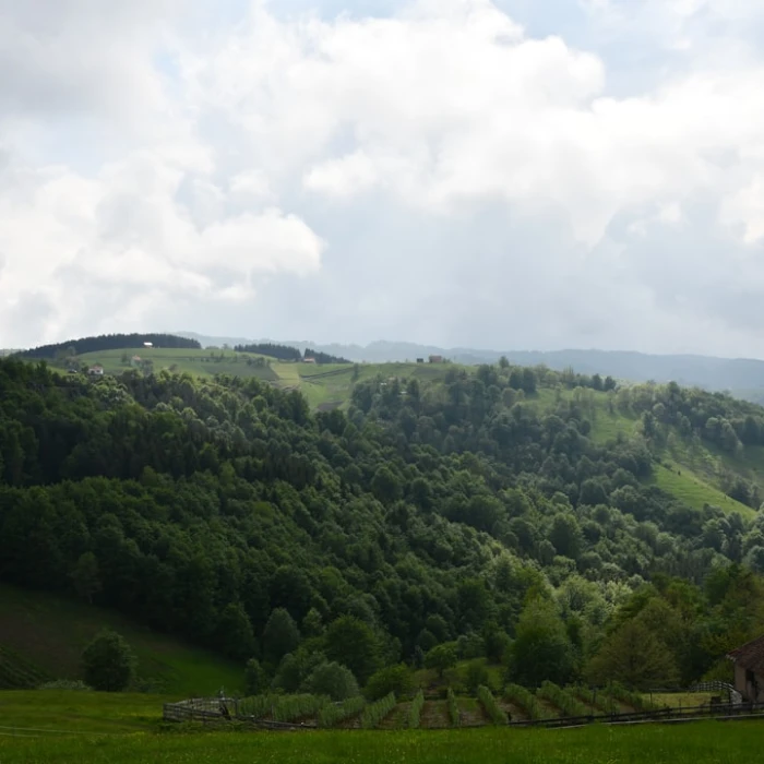 Serbia's Hidden Gems: Top Yoga Destinations for Ultimate Relaxation