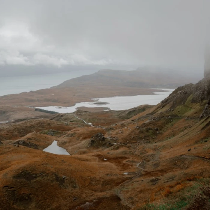 Isle of Man Wildlife Wonders: The Ultimate Guide to Top Spotting Locations