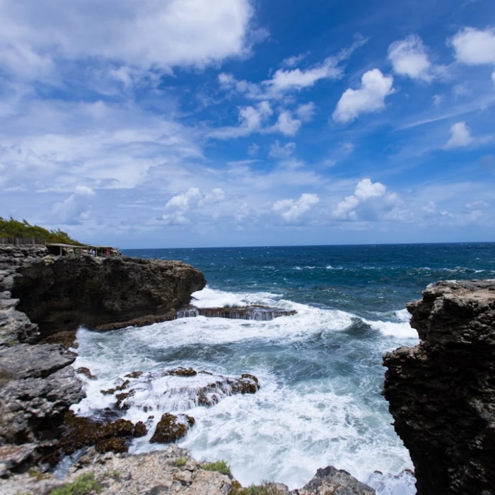 Savor Barbados: Unearthing the Island's Top Street Food Markets & Local Eats