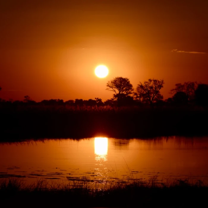 Discover Botswana's Most Breathtaking Scenic Walkways: Your Ultimate Guide